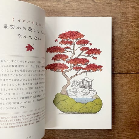 木に学ぶ60の知恵　まっすぐだけが生き方じゃない