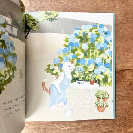 【庄野ナホコさんサイン入り】ラッテとふしぎなたね