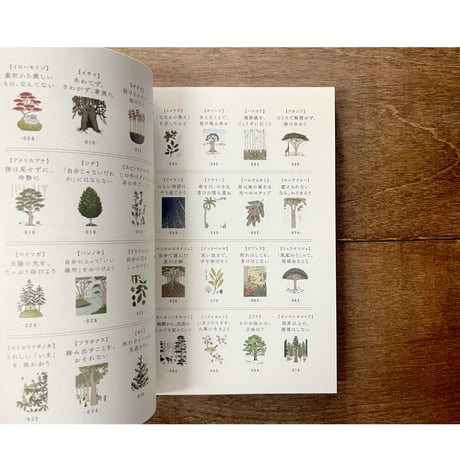 木に学ぶ60の知恵　まっすぐだけが生き方じゃない