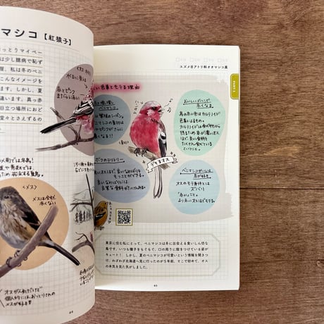 ココロさえずる野鳥ノート