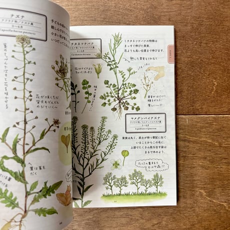 ココロはなやぐ 草花ノート