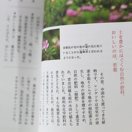 食べる野草図鑑