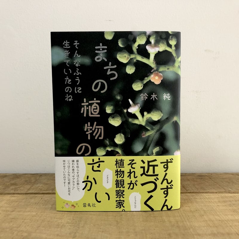 そんなふうに生きていたのね まちの植物のせかい *オリジナル そんなふうに生きていたのね まちの植物のせかい *オリジナル