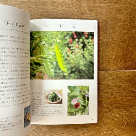 もういちど育てる庭図鑑