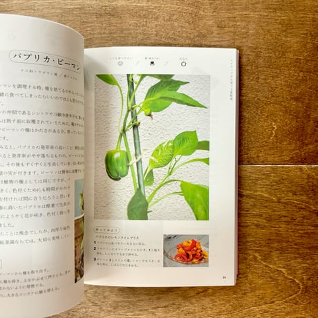 もういちど育てる庭図鑑