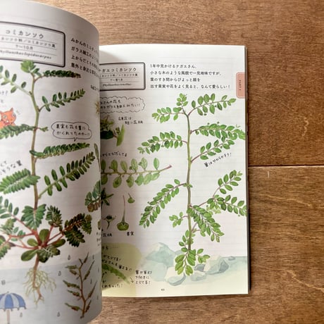 ココロはなやぐ 草花ノート