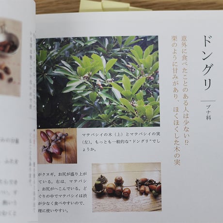 食べる野草図鑑