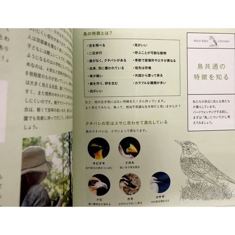子どもと一緒に覚えたい 野鳥の名前