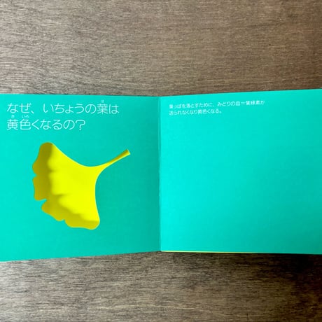 空が青いと海も青い。