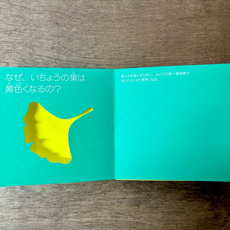 6a33a003b7ac33068f658d60