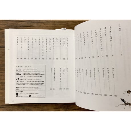 子どもと一緒に覚えたい　毒生物の名前