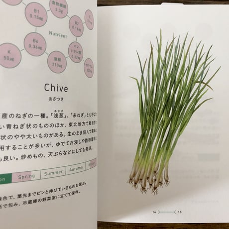 菜の辞典