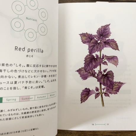 菜の辞典
