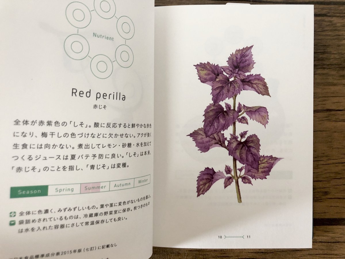 菜の辞典 | よもぎBOOKS