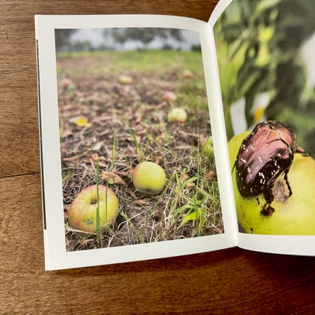 ある、りんご園の一年