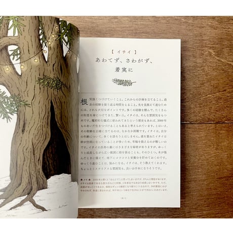 木に学ぶ60の知恵　まっすぐだけが生き方じゃない