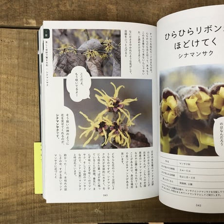 そんなふうに生きていたのね　まちの植物のせかい