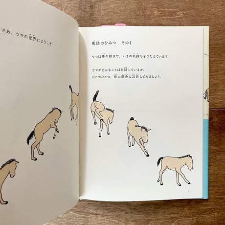 ウマと話すための７つのひみつ