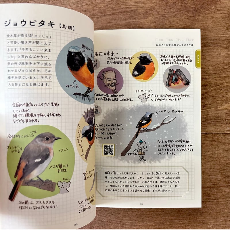 りん 【14kgf】宝石が紡ぐ小鳥のさえずり ー ここちゃんモデル　他 ココロさえずる野鳥ノート | よもぎBOOKS