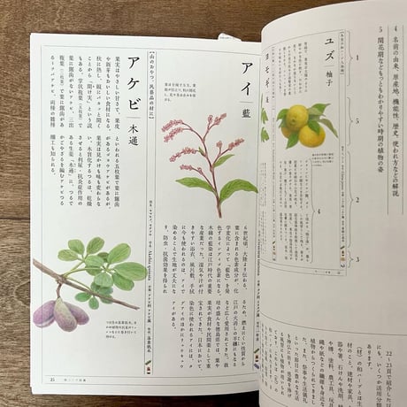 和ハーブのある暮らし