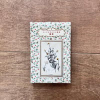 ちいさな手のひら事典　薬草