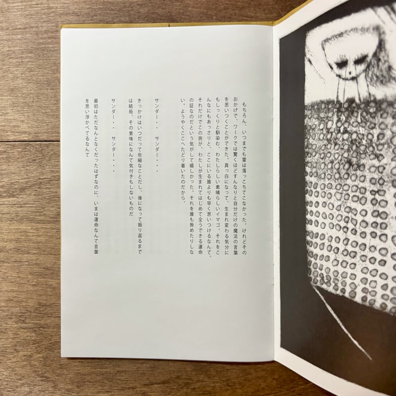 Thunder（さかたきよこさん・タダジュンさんのダブルサイン入り