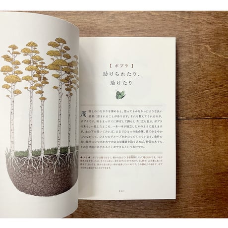 木に学ぶ60の知恵　まっすぐだけが生き方じゃない