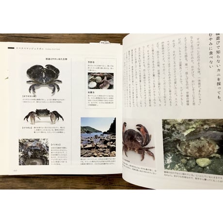 子どもと一緒に覚えたい　毒生物の名前