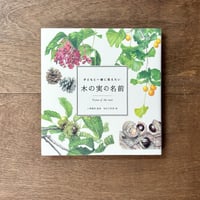 子どもと一緒に覚えたい　木の実の名前