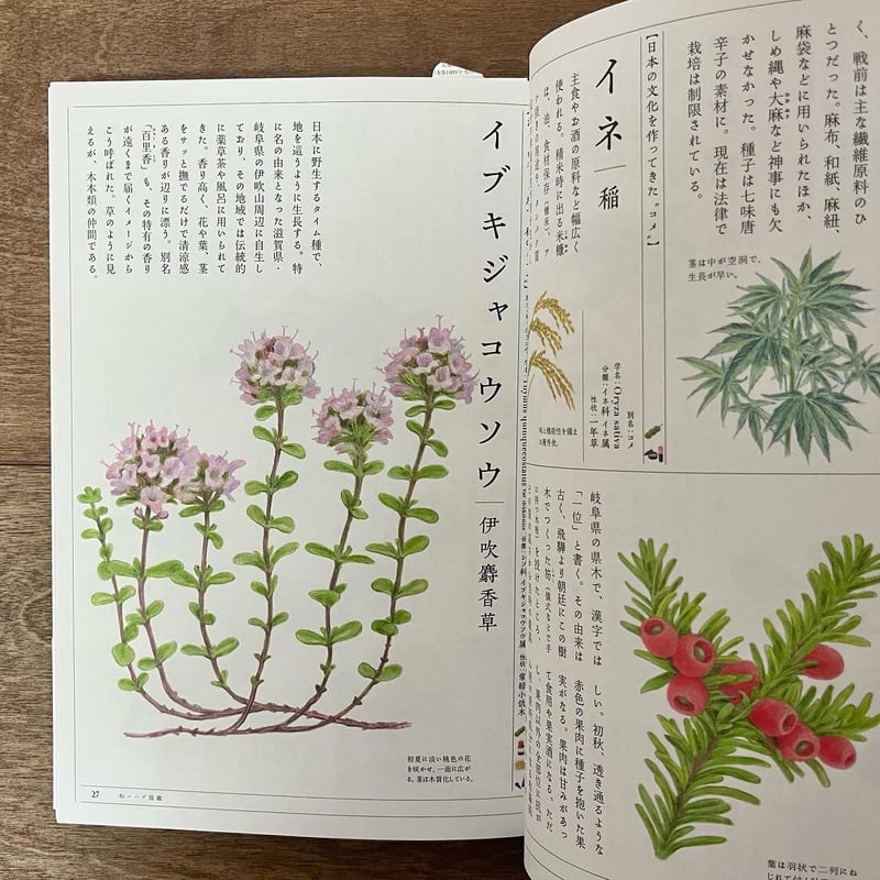 和ハーブのある暮らし | よもぎBOOKS