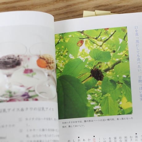 食べる野草図鑑