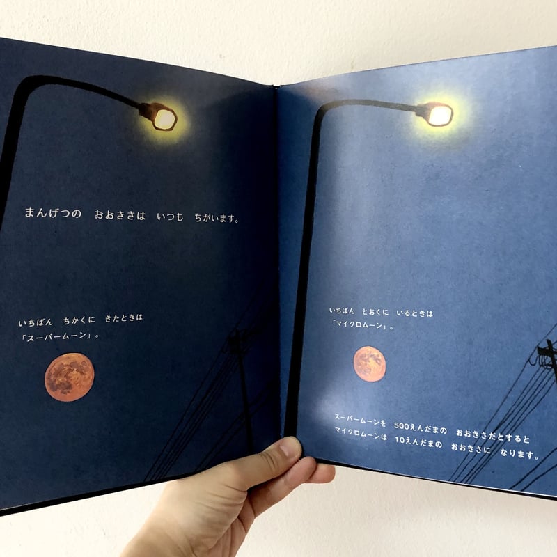 はじめてのかがくえほん 全12巻 はじめてのかがくえほん 全12巻 Amazon.co.jp: 12か月のしかけ