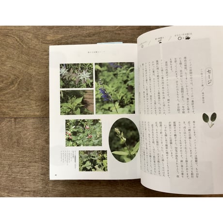 食べられる庭図鑑