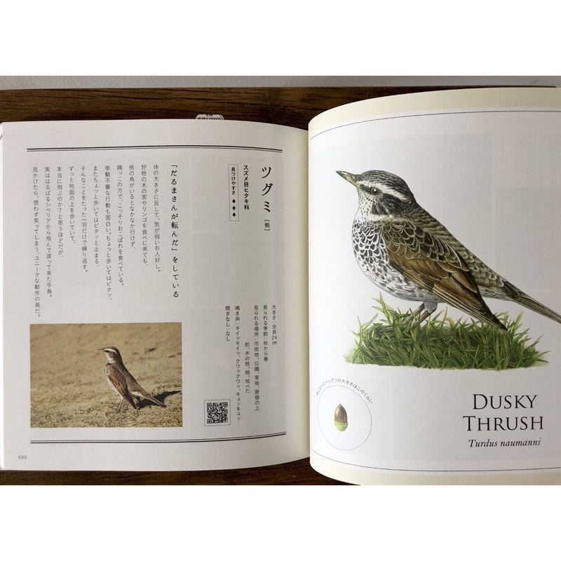 子どもと一緒に覚えたい 野鳥の名前 他 5冊セット バラ売り不可 子どもと一緒に覚えたい 野鳥の名前 | よもぎBOOKS