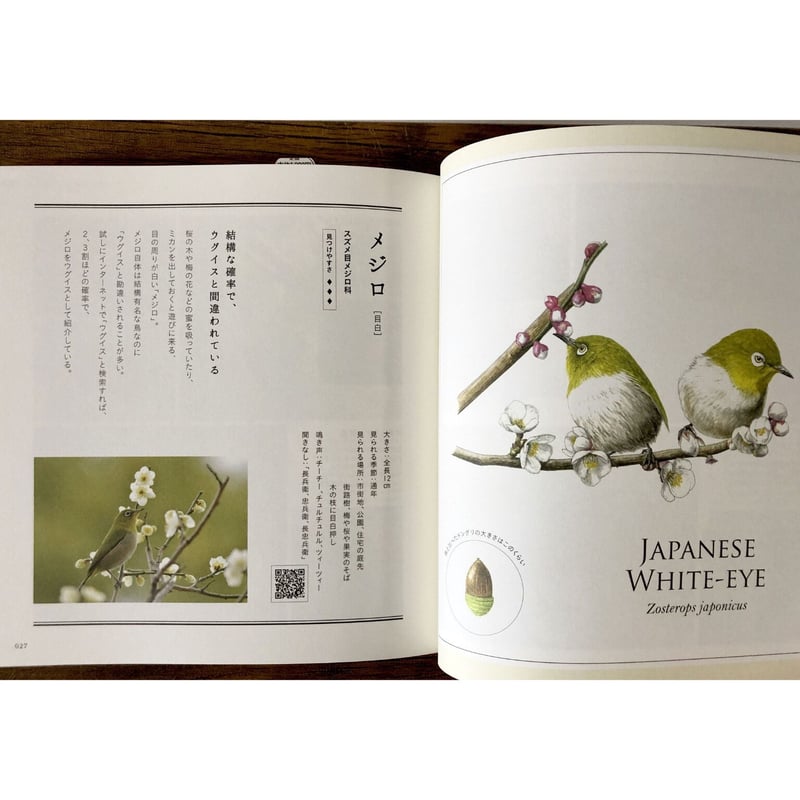 子どもと一緒に覚えたい 野鳥の名前 | よもぎBOOKS 子どもと一緒に覚えたい 野鳥の名前 | よもぎBOOKS