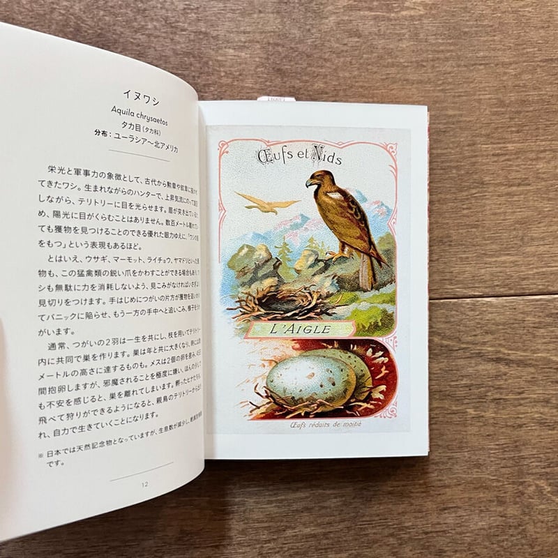 ちいさな手のひら事典 とり | よもぎBOOKS