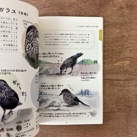 ココロさえずる野鳥ノート