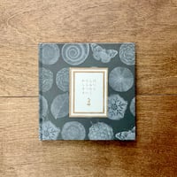 新装版 わたしはしらない　 ＊小冊子の特典付き