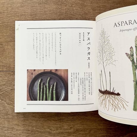 子どもと一緒に覚えたい　野菜の名前