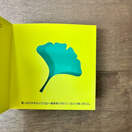 空が青いと海も青い。