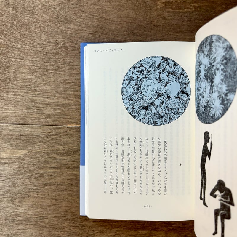 センス・オブ・ワンダー | よもぎBOOKS