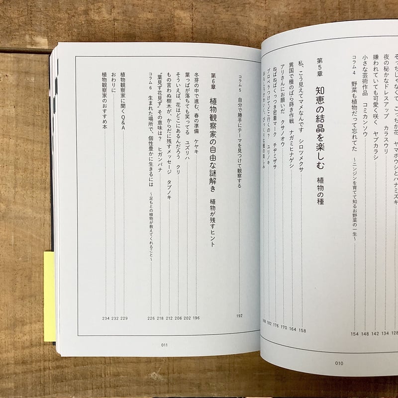 そんなふうに生きていたのね まちの植物のせかい | よもぎBOOKS