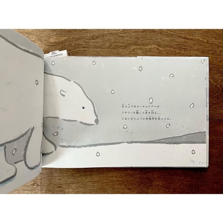 PIHOTEK（ピヒュッティ）　北極を風と歩く