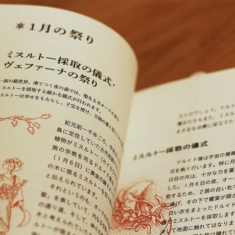 魔女の12ヶ月