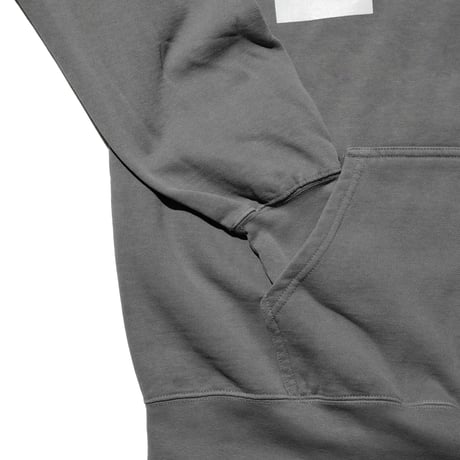 FLAVORS HOODIE / GRAY