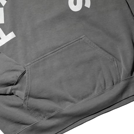 FLAVORS HOODIE / GRAY