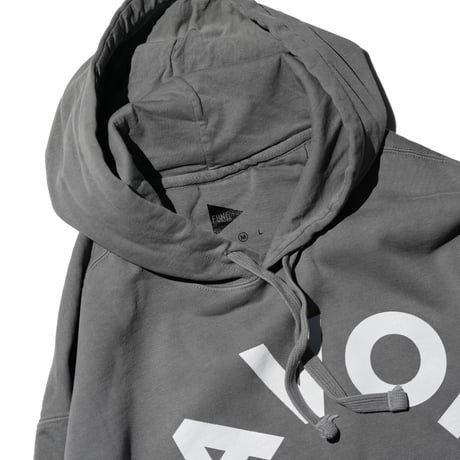 FLAVORS HOODIE / GRAY