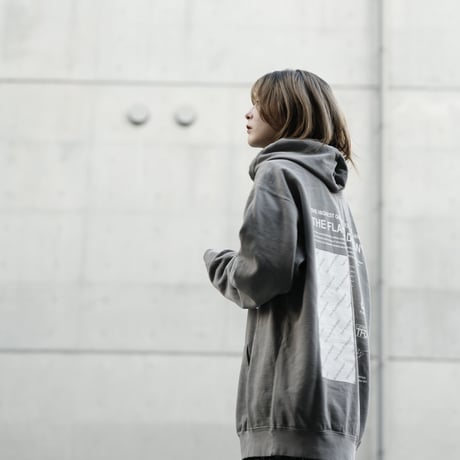 FLAVORS HOODIE / GRAY