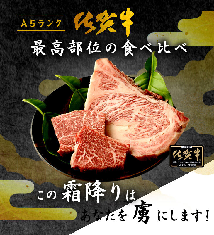 【送料無料】 A5ランク 佐賀牛 最高部位の食べ比べ　佐賀牛 ヒレステーキ120ｇ（60ｇｘ2ｐ）サーロインステーキ 200ｇ