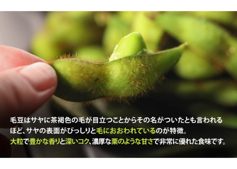 枝豆 青森県産 幻の特上えだまめ『毛豆』300g×4袋【栗のような甘み